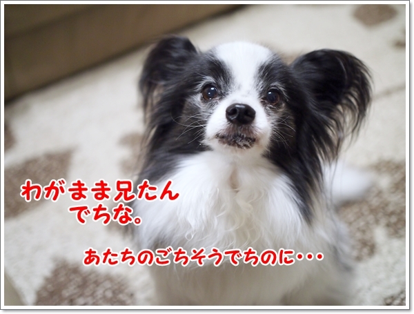 d0013149_00202661.jpg