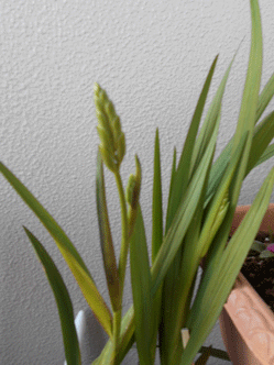 d0197949_18002591.gif