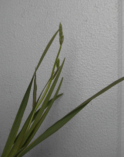 d0197949_18010499.gif