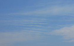 d0197949_18070610.gif