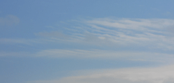 d0197949_18072278.gif