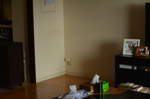 b0307951_18511672.jpg