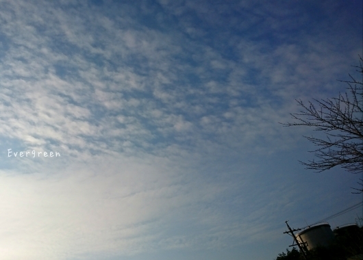 d0362666_16040522.jpg
