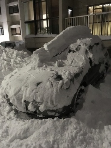 豪雪の北陸_f0311570_17172708.jpeg