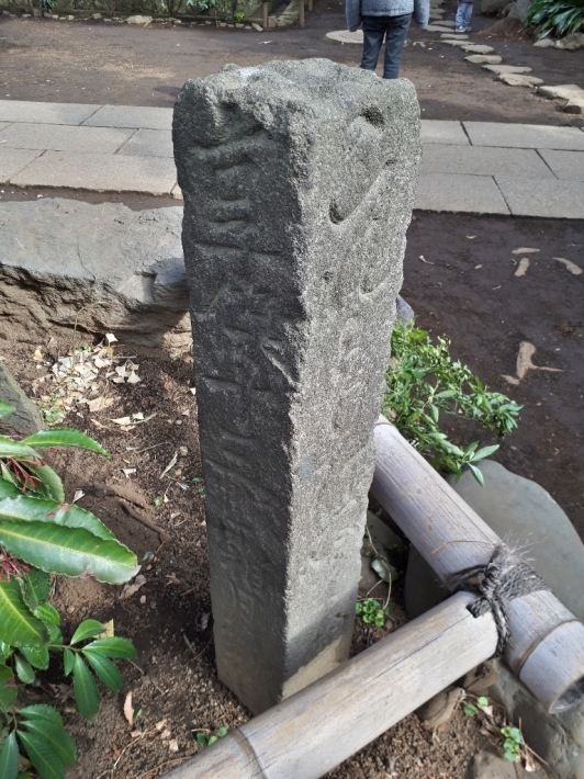 【奥澤神社藁蛇・鉢状穴・練馬富士・白狐石・多摩川園大山下り滑り台跡】アクセスが激減したので意味なくエントリあげます。2018/1-2歳時記_b0116271_13540947.jpg