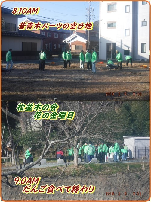 百姓小屋に野菜教室の場所作り　ほうれんそうと小松菜の発芽_d0007071_05531071.jpg