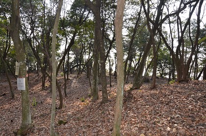 c0229483_22211419.jpg