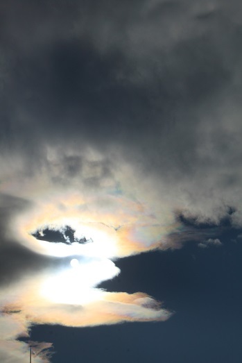 d0183387_16454524.jpg
