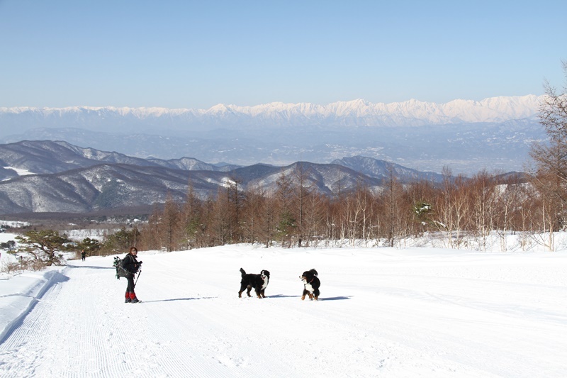 雪山へ行ってきたよ_b0158390_18482868.jpg