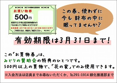 バレンタインのプレゼントは「花の家」で_f0203094_09454441.jpg