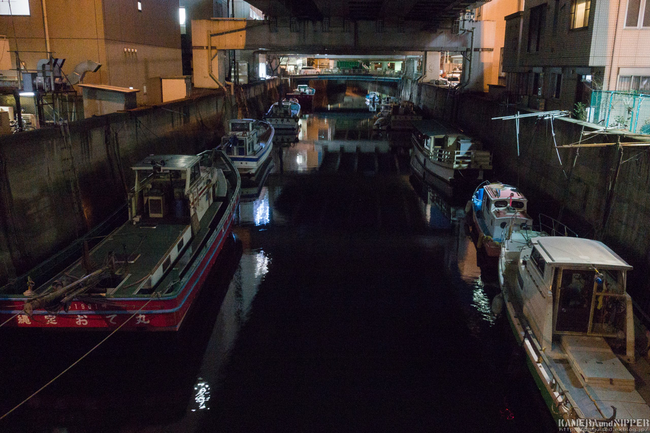a0207595_014145.jpg