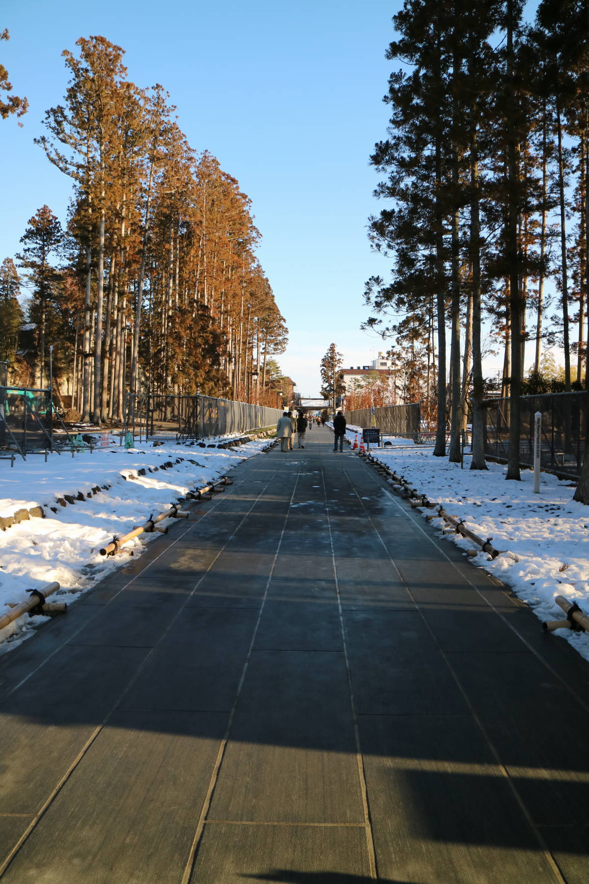 f0075595_19243124.jpg