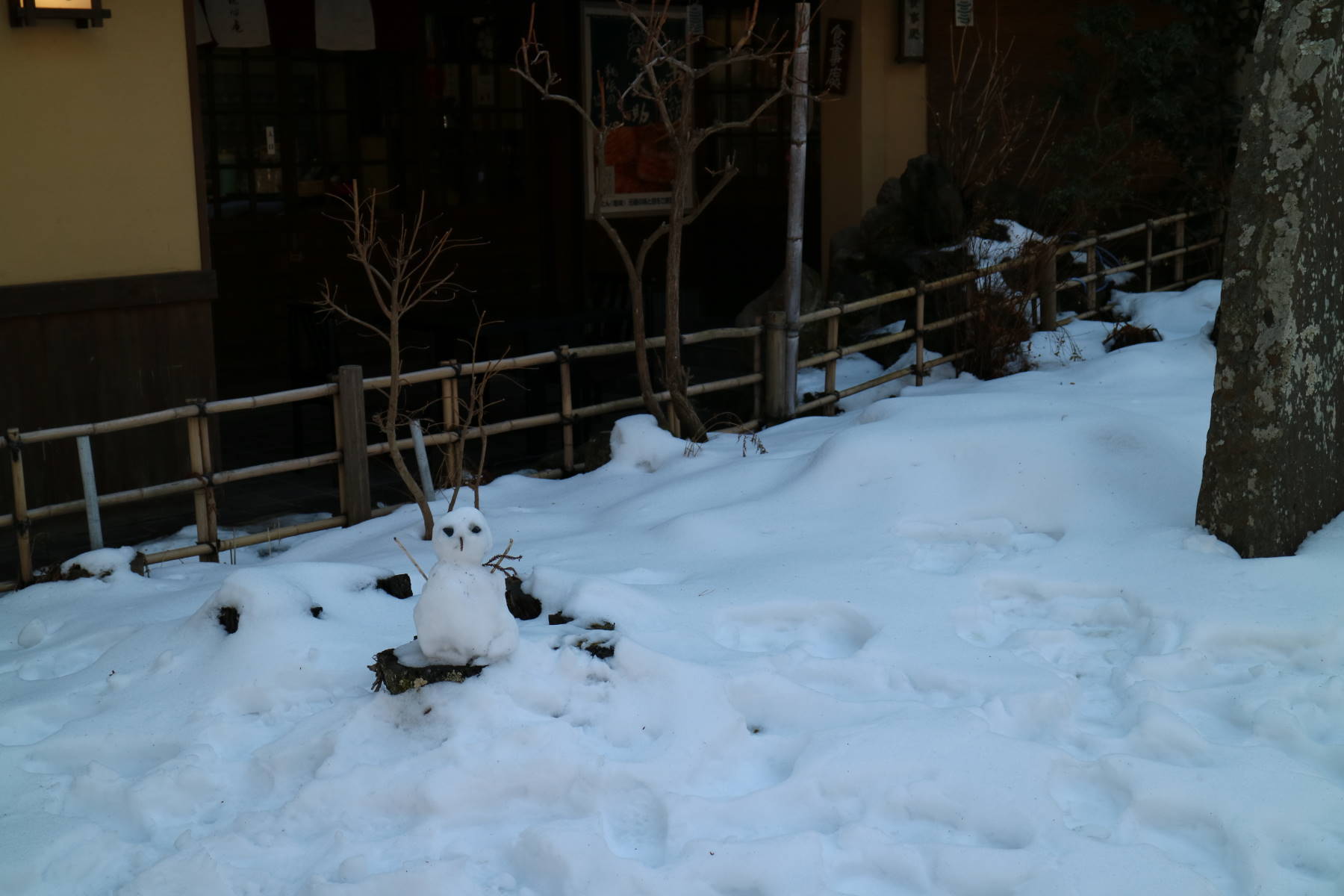 f0075595_19262902.jpg