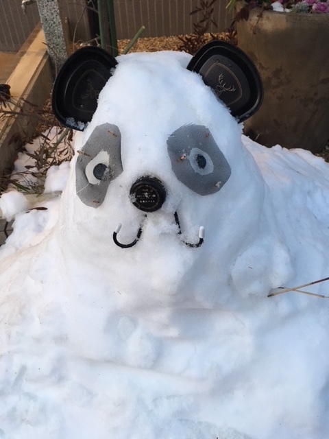 大雪_c0013698_17045378.jpg