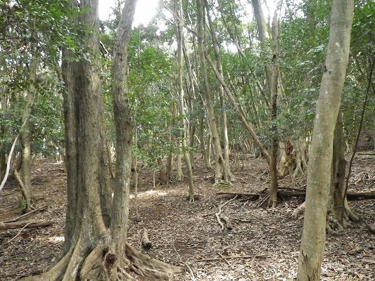f0187402_18400458.jpg