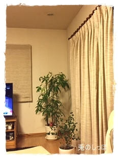 c0190707_21402111.jpeg