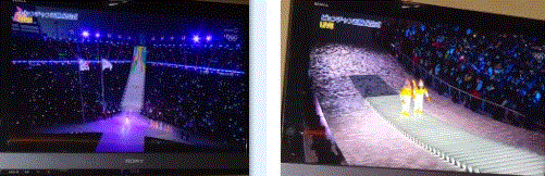 f0231709_17211095.gif