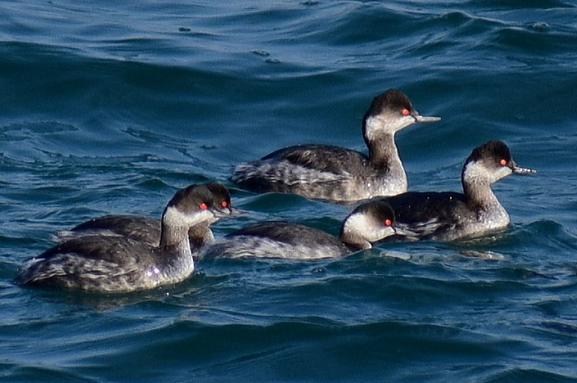 牛窓海岸ツーリング_f0368610_03405211.jpg