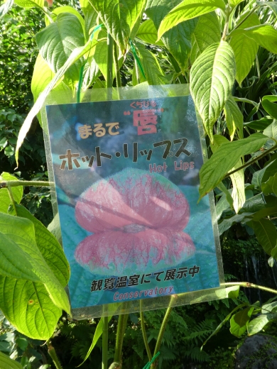 c0062511_18344515.jpg