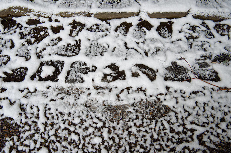 雪の日 足元の暗号_f0032011_17340939.jpg