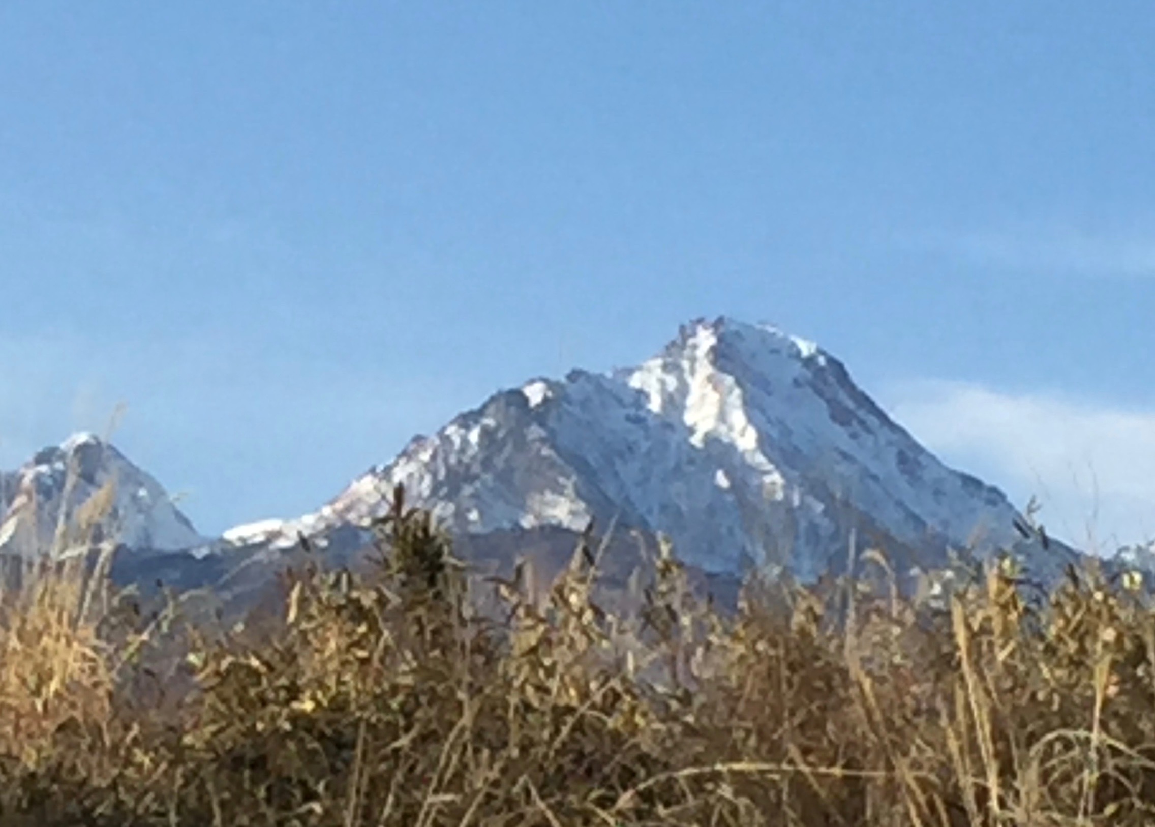 c0048023_2183362.jpg