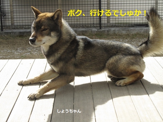 f0143123_17002847.jpg