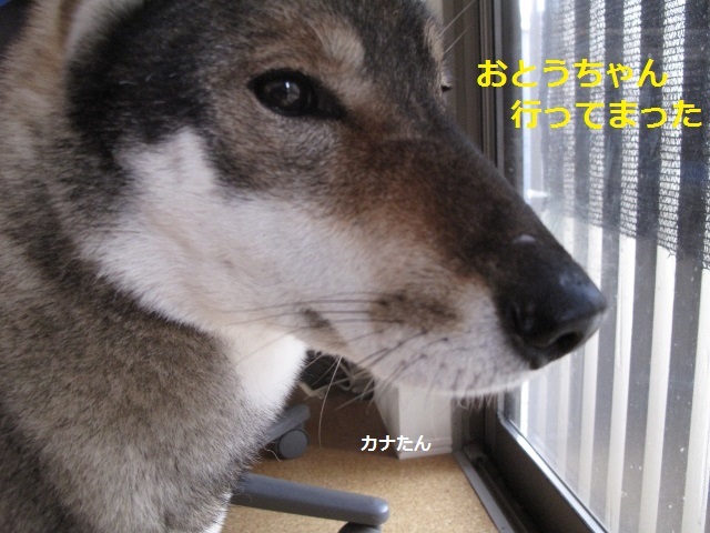 f0143123_17003665.jpg
