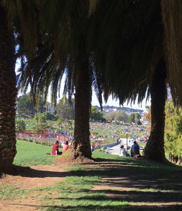 ２月、初夏の陽気のサンフランシスコにて／　Hayes Valley and Dolores Park in San Francisco_e0310424_10294710.jpeg