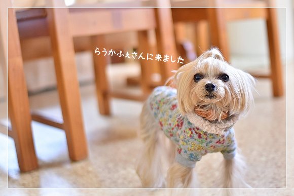 d0179828_10380709.png