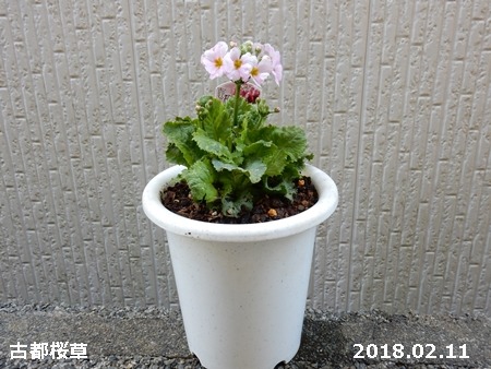 e0033229_17124625.jpg