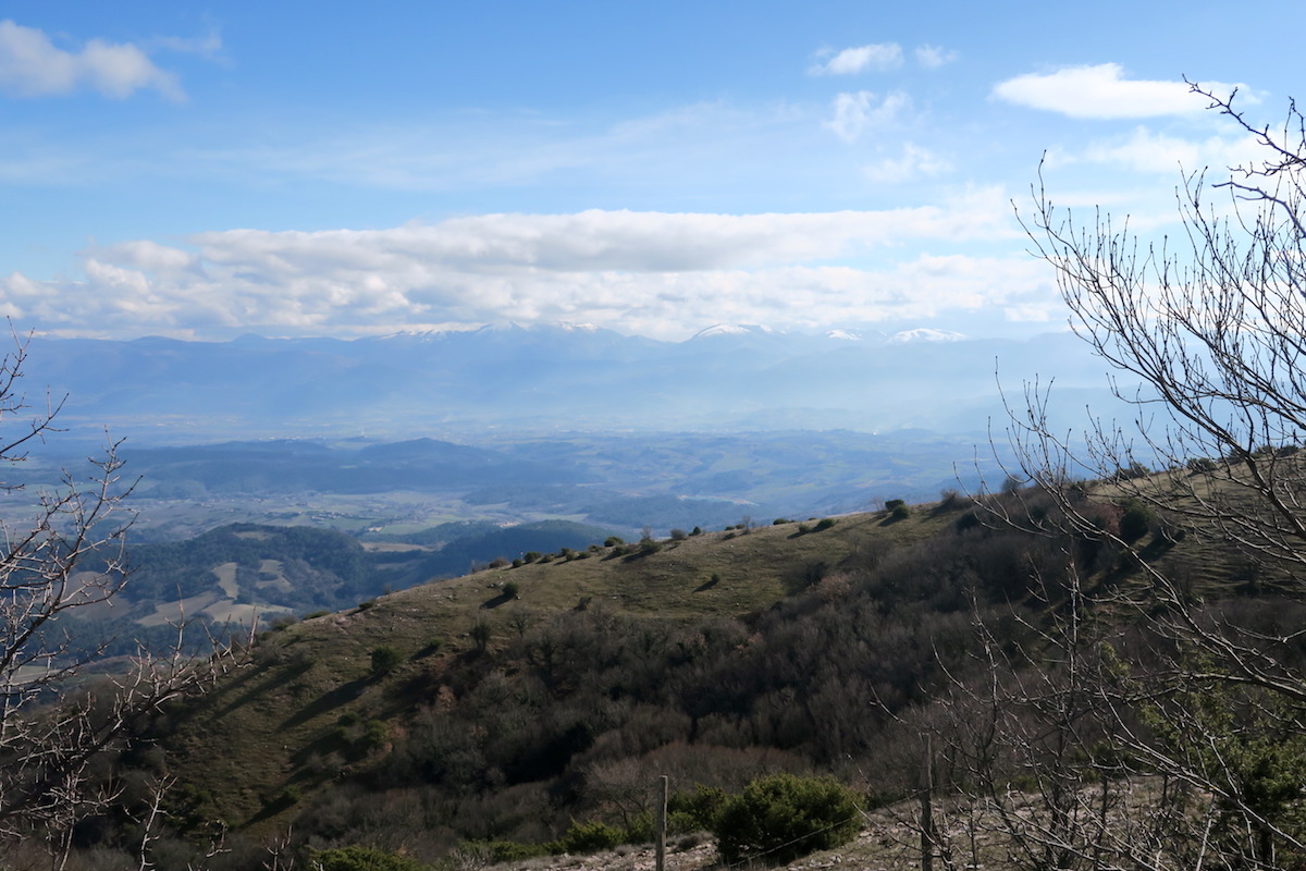 クロッカス・見晴らしきれい青い山、イタリア マルターニ山地_f0234936_862268.jpg