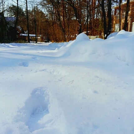 a0328140_16424688.jpg