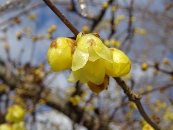 b0299042_21334741.jpg