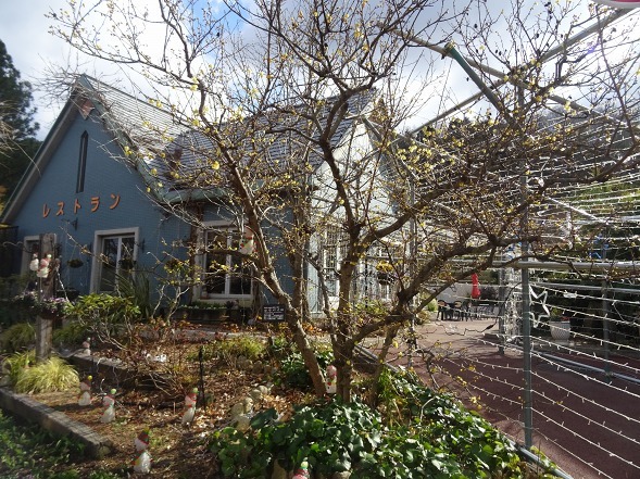 b0299042_21335287.jpg