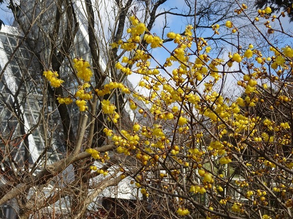 b0299042_21341755.jpg