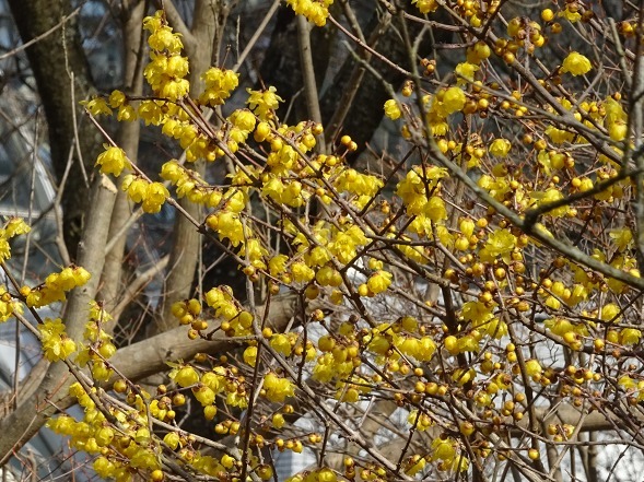 b0299042_21342227.jpg