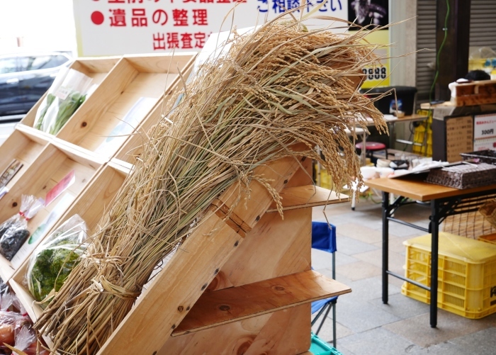 　　２月のポポロハス・マーケット　　２０１８-０２-１２　００：００ _b0093754_23320157.jpg