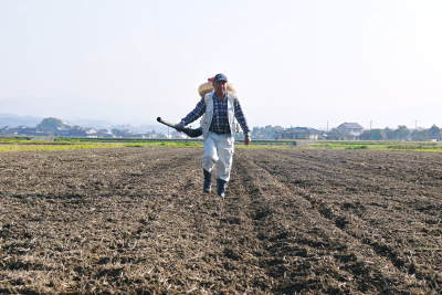 砂田米 熊本県菊池市七城町『砂田のこだわりれんげ米』 れんげの発芽 今年も変わらぬ栽培方法です!_a0254656_18532963.jpg