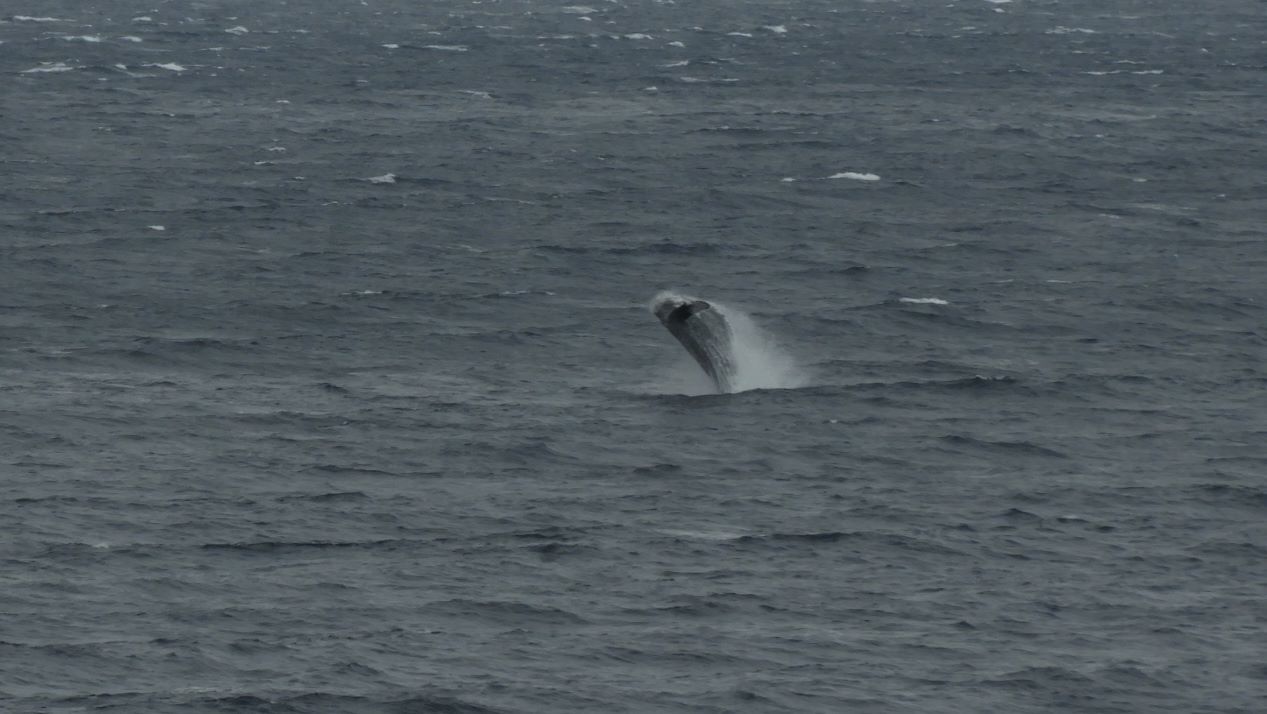 b0160957_08313658.jpg