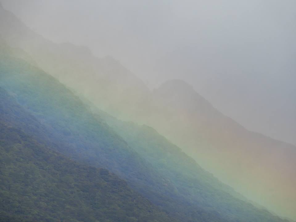 b0160957_08314605.jpg