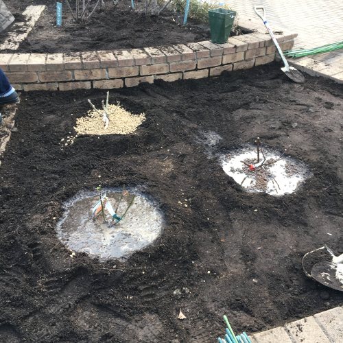 2018年2月の月例会「植え付け」駒場野公園拡張スペース_a0094959_21051543.jpg
