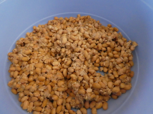 2018年お味噌作りの会のお味噌の作り方（1）_c0326859_07225847.jpg