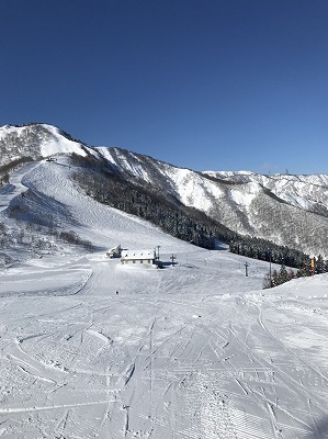 b0145863_21313545.jpg