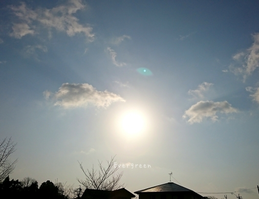 d0362666_19030523.jpg