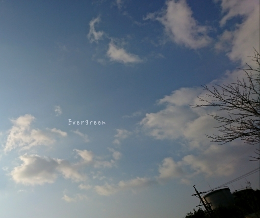 d0362666_19035049.jpg