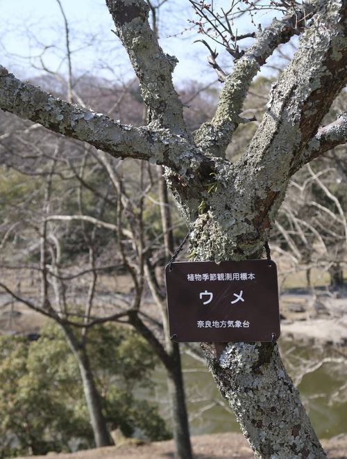 b0113868_2118050.jpg