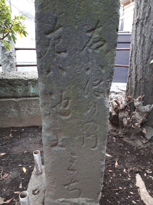鉄飛坂に鉢状穴を探して_b0116271_20382427.jpg