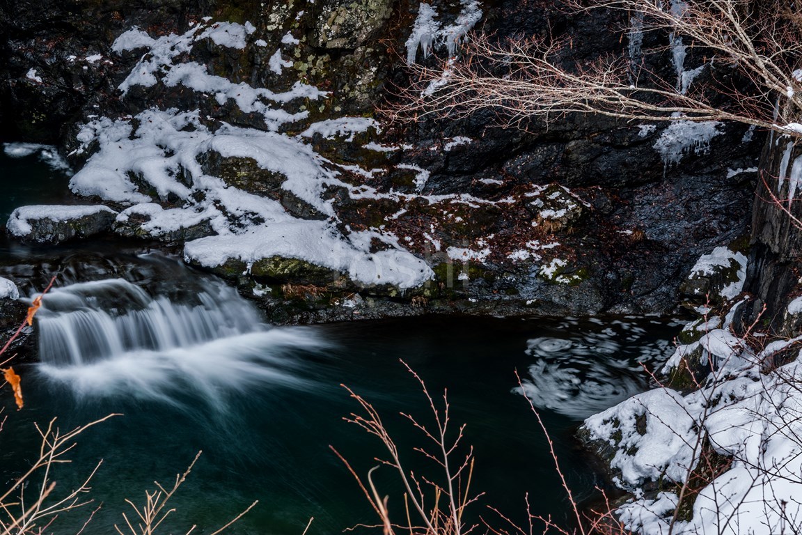 雪の高野山_c0350572_22191482.jpg