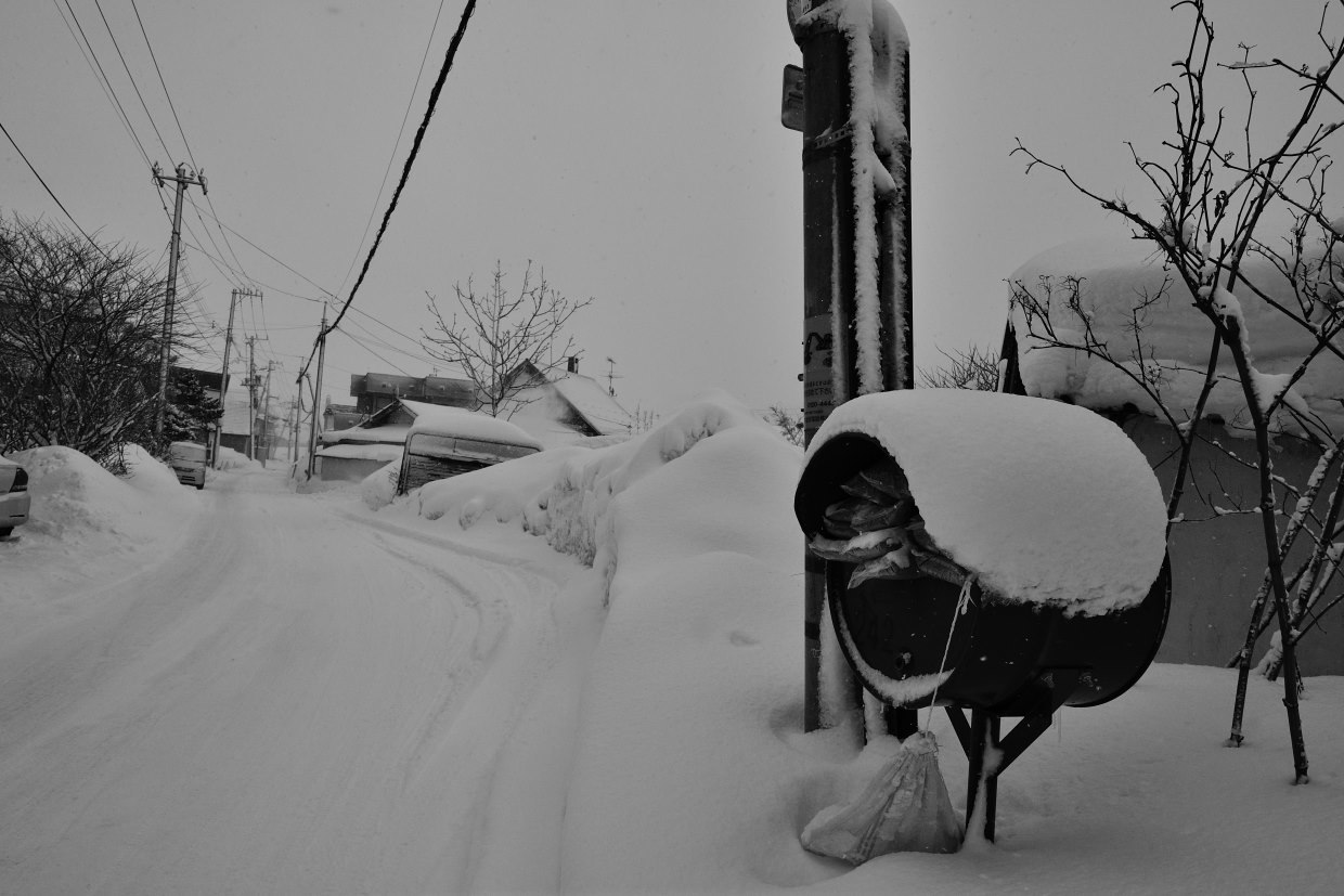 雪がやんだ夕刻_b0001380_19363620.jpg