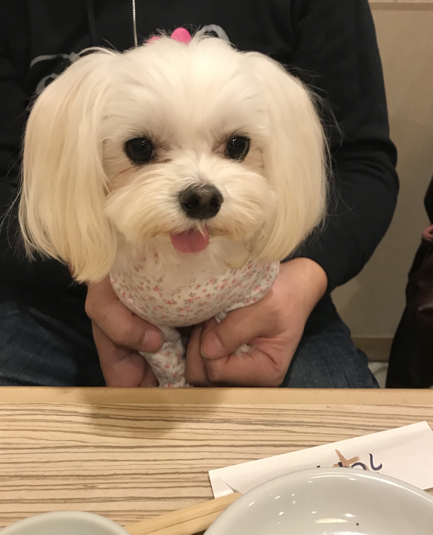 b0193480_14375119.jpeg